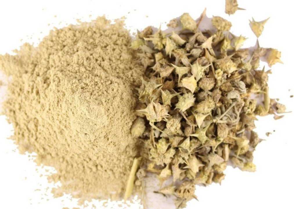 Gokshura (Tribulus Terrestris)