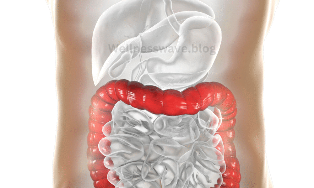 Prime Biome – Gut Health Made Easy
