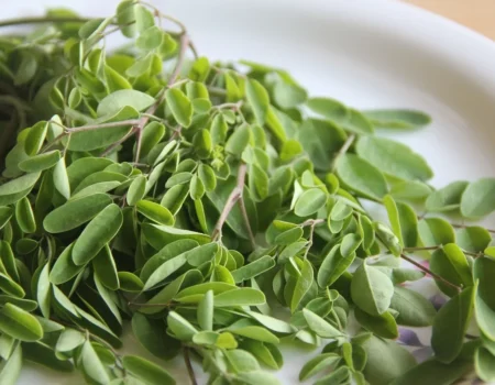 The Moringa Magic: Unveiling 10 Unexpected Advantages of Moringa Powder