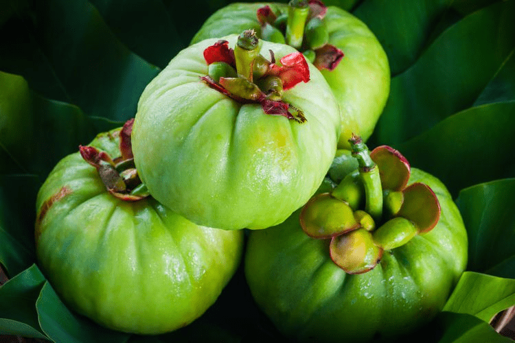 Gardenia Cambogia contains hydroxycitric acid, which helps the enzymes and stores good fats in your body. It also reduces hunger and keep you full for a longer time.